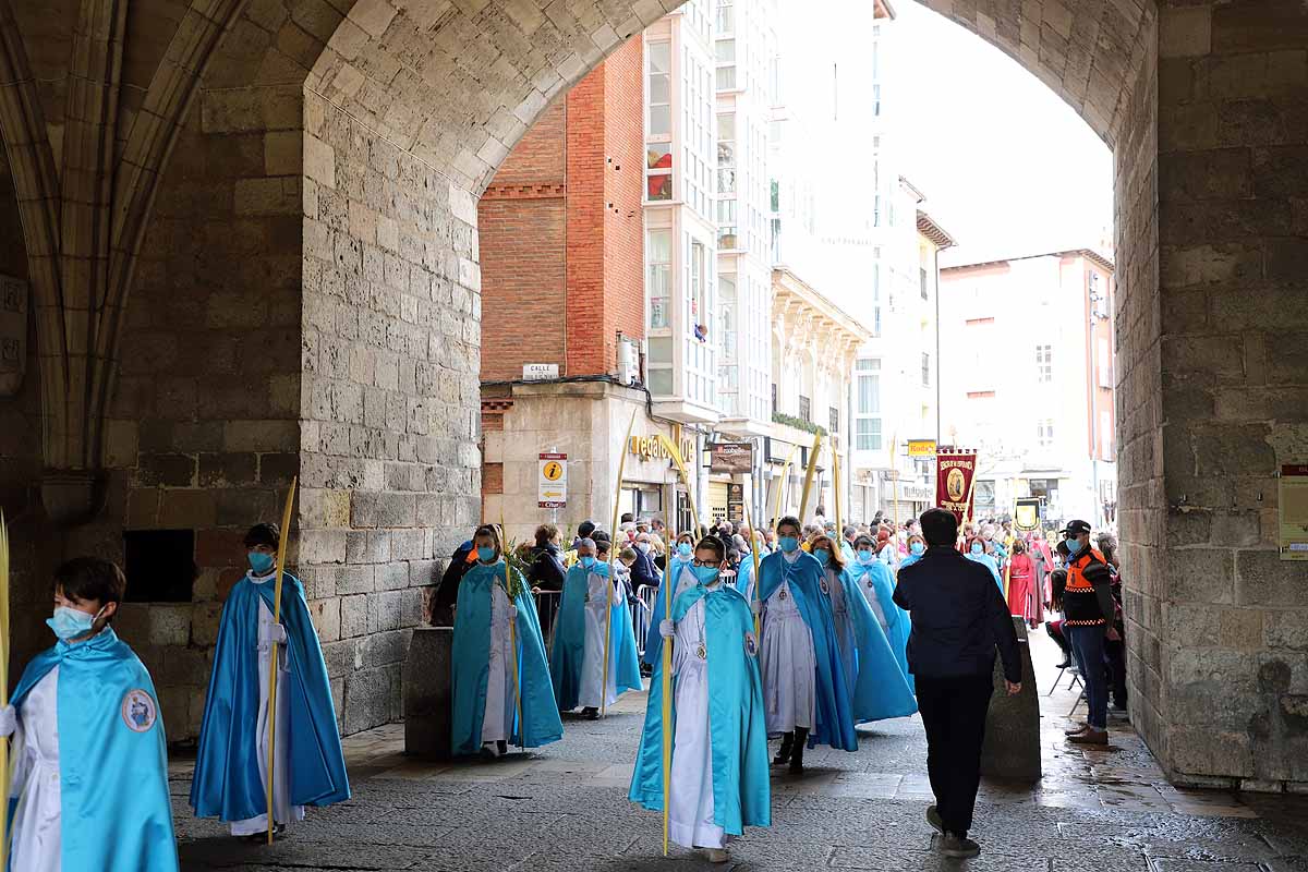 Fotos: La Borriquilla vuelve a recorrer las calles de Burgos