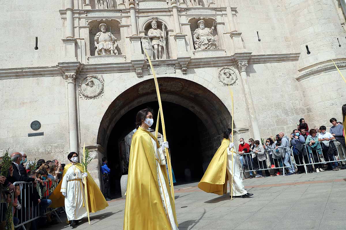 Fotos: Palmas en Burgos para recibir a La Borriquilla