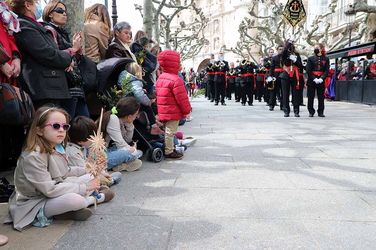 Fotos: Palmas en Burgos para recibir a La Borriquilla