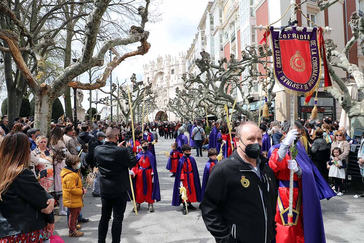 Fotos: Palmas en Burgos para recibir a La Borriquilla