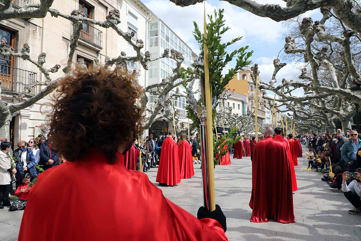 Fotos: Palmas en Burgos para recibir a La Borriquilla