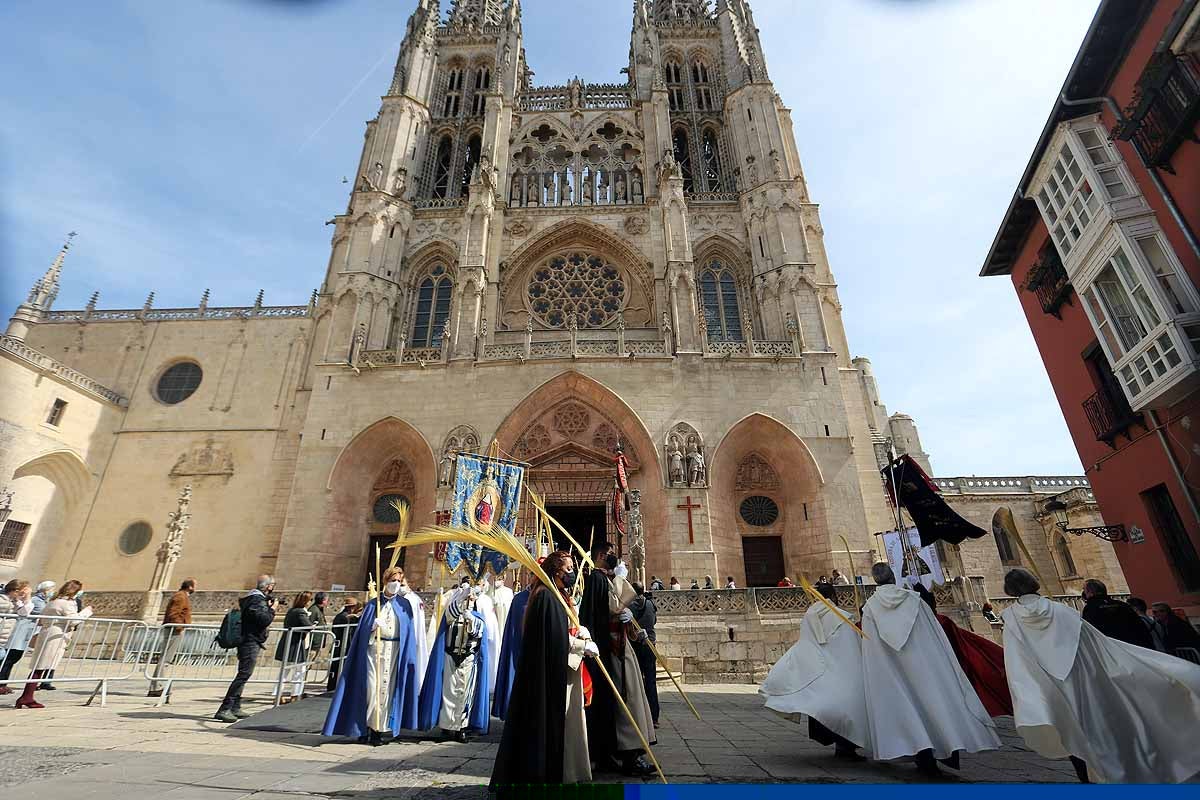 Fotos: Palmas en Burgos para recibir a La Borriquilla