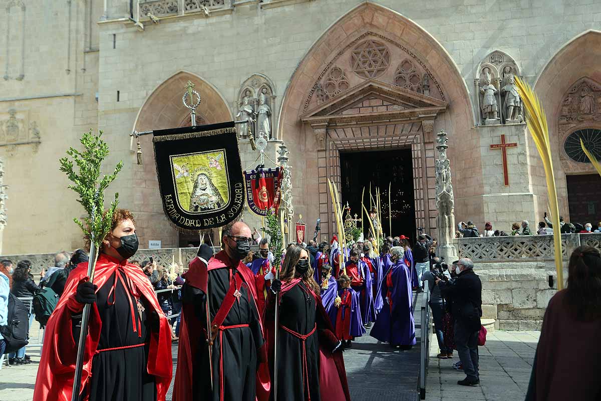 Fotos: Palmas en Burgos para recibir a La Borriquilla