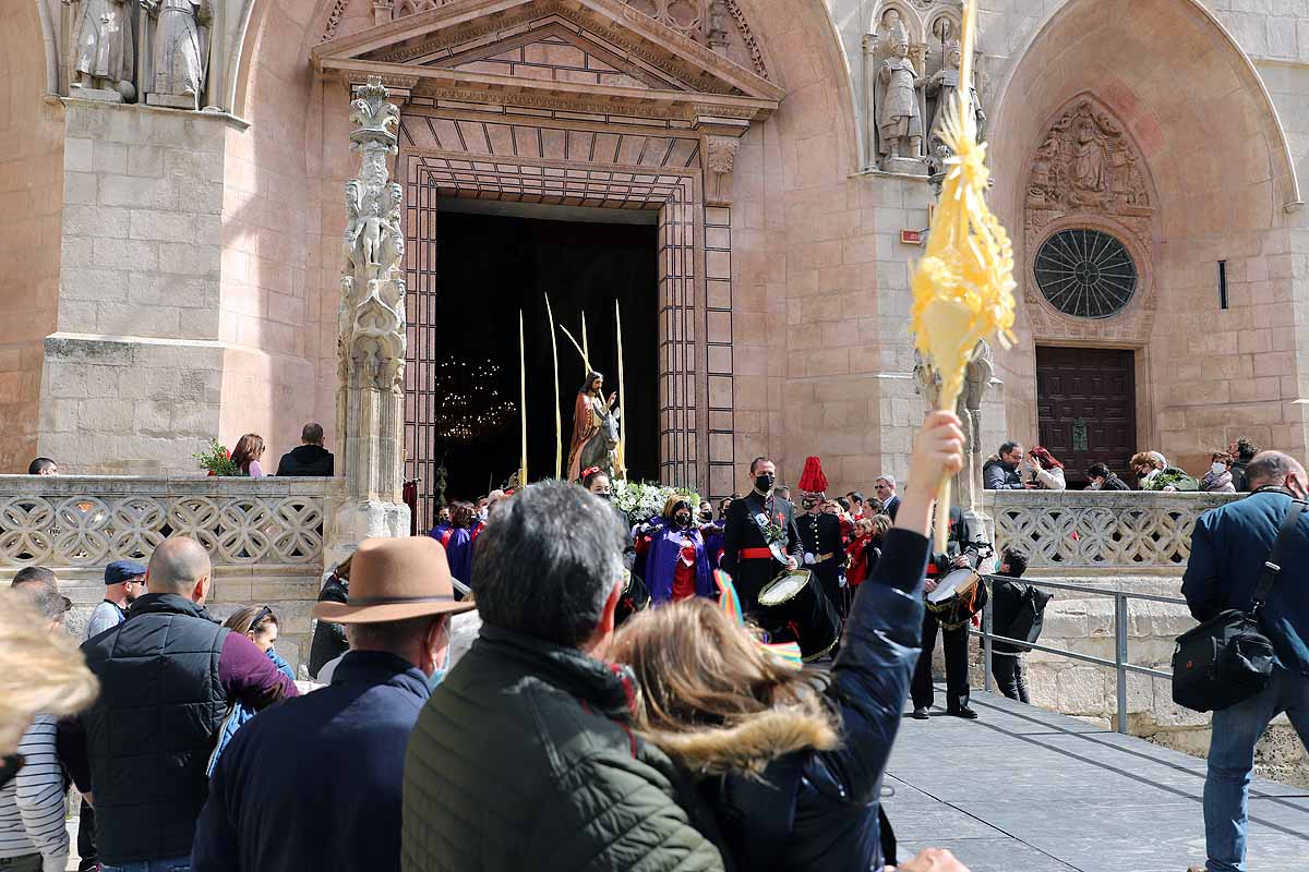 Fotos: Palmas en Burgos para recibir a La Borriquilla