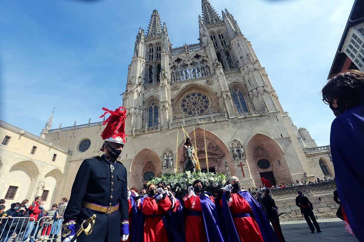 Fotos: Palmas en Burgos para recibir a La Borriquilla