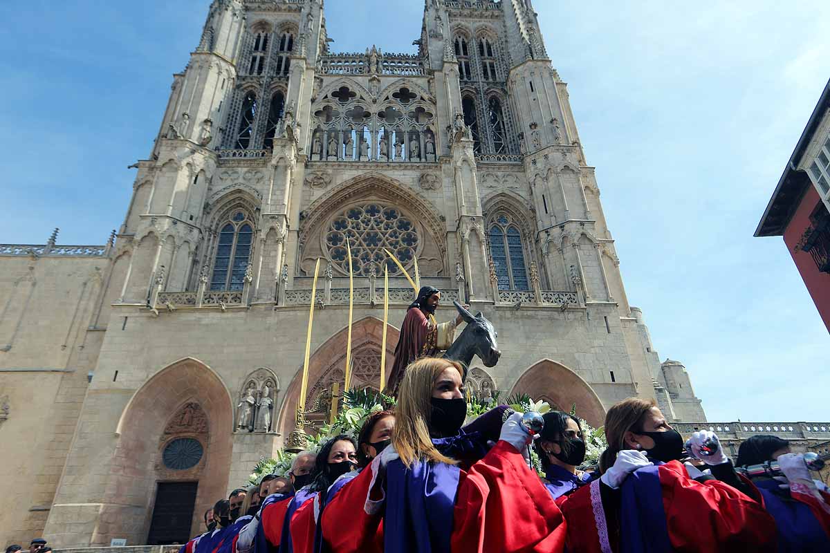 Fotos: Palmas en Burgos para recibir a La Borriquilla