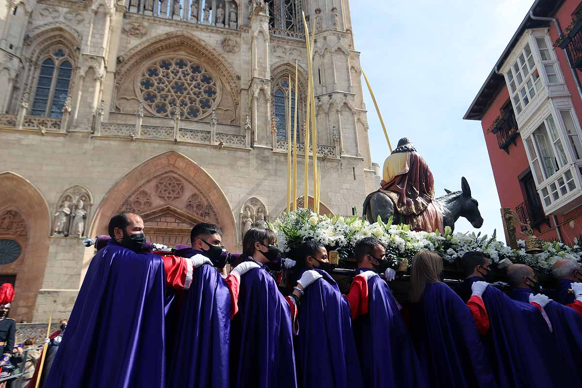 Fotos: Palmas en Burgos para recibir a La Borriquilla