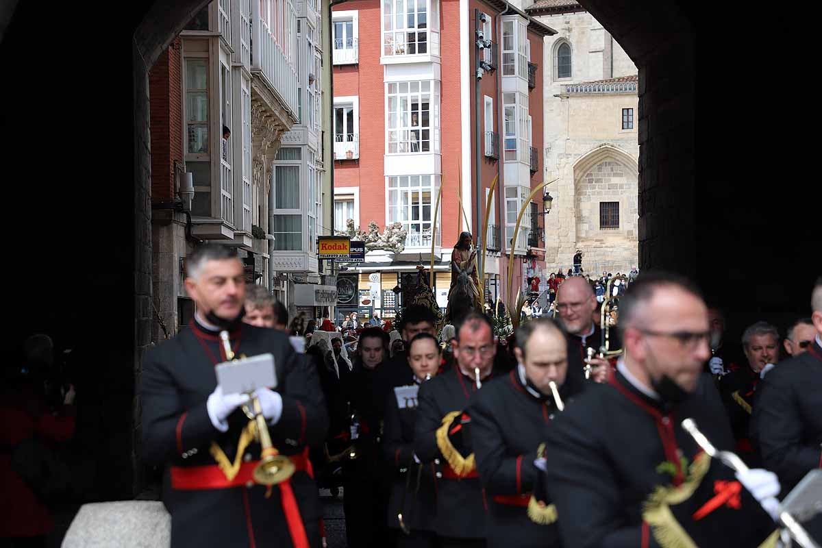 Fotos: Palmas en Burgos para recibir a La Borriquilla