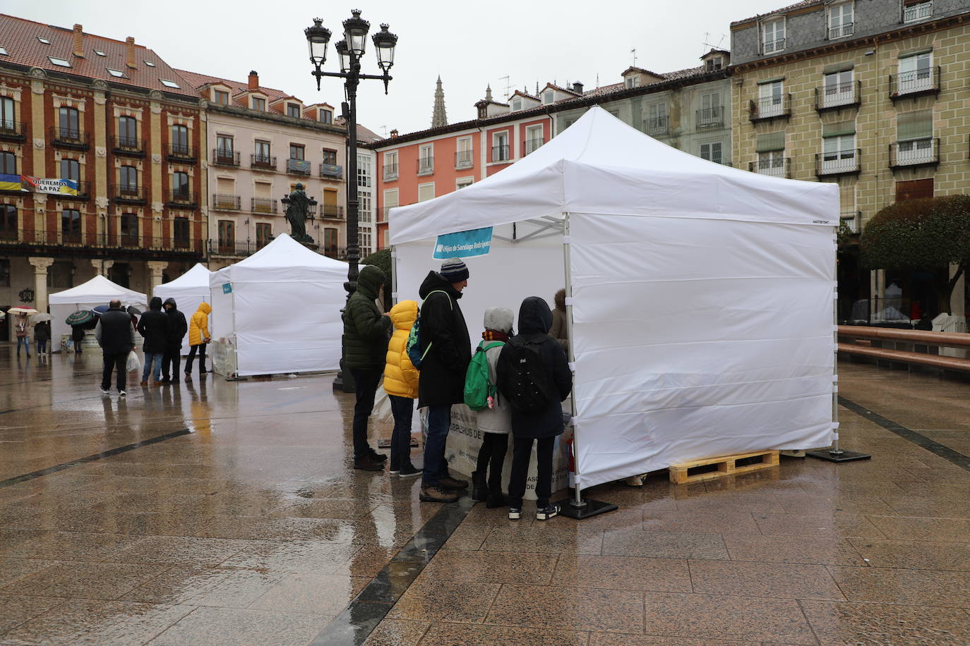 Fotos: La lluvia desluce el Día del Libro en Burgos