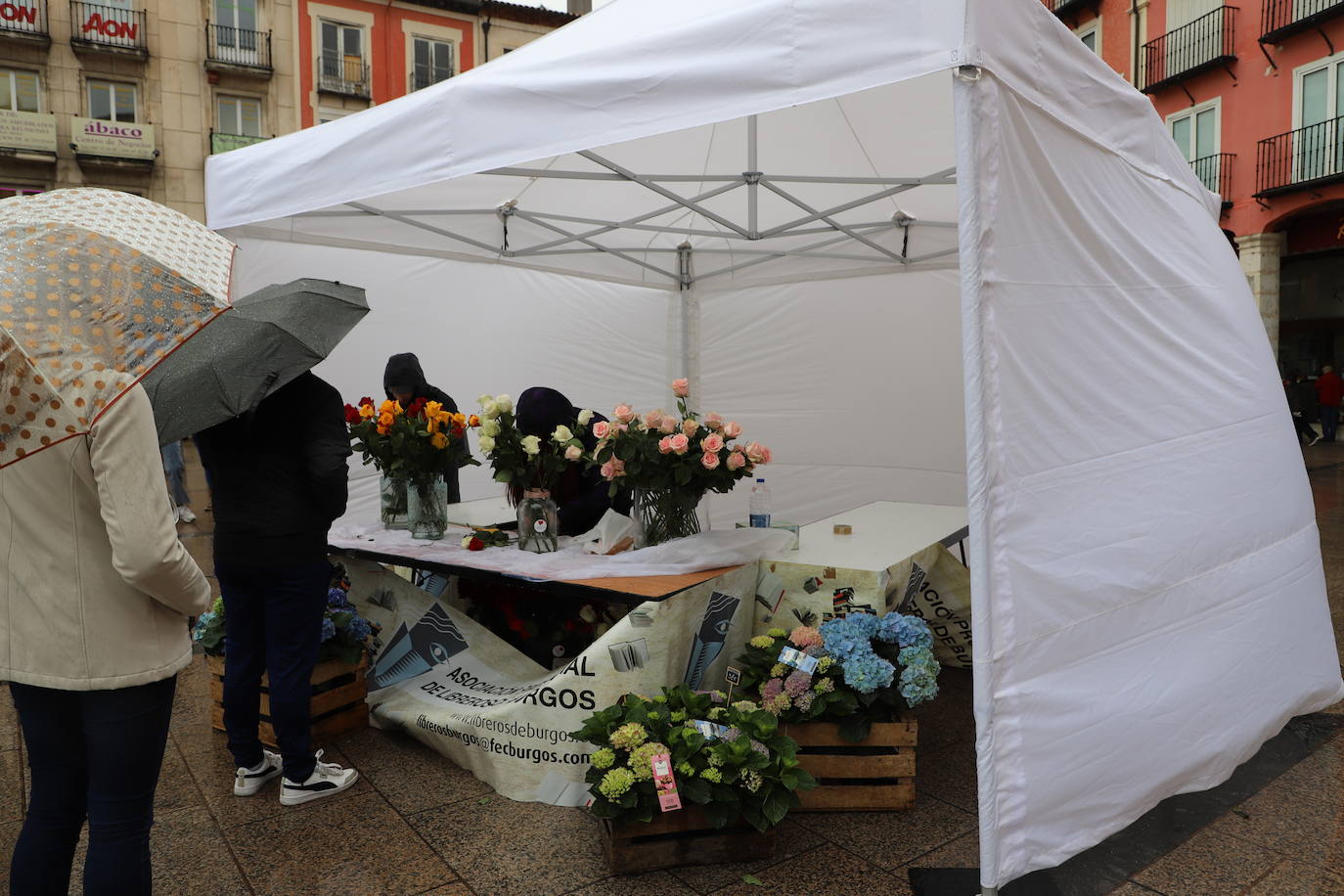 Fotos: La lluvia desluce el Día del Libro en Burgos