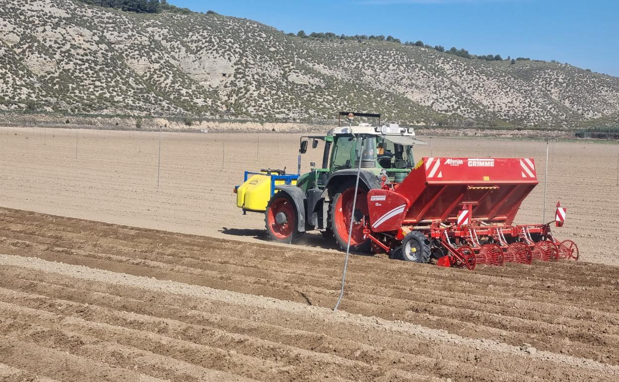 Siembra de patatas hace tan solo unos días en la provincia de Segovia. 