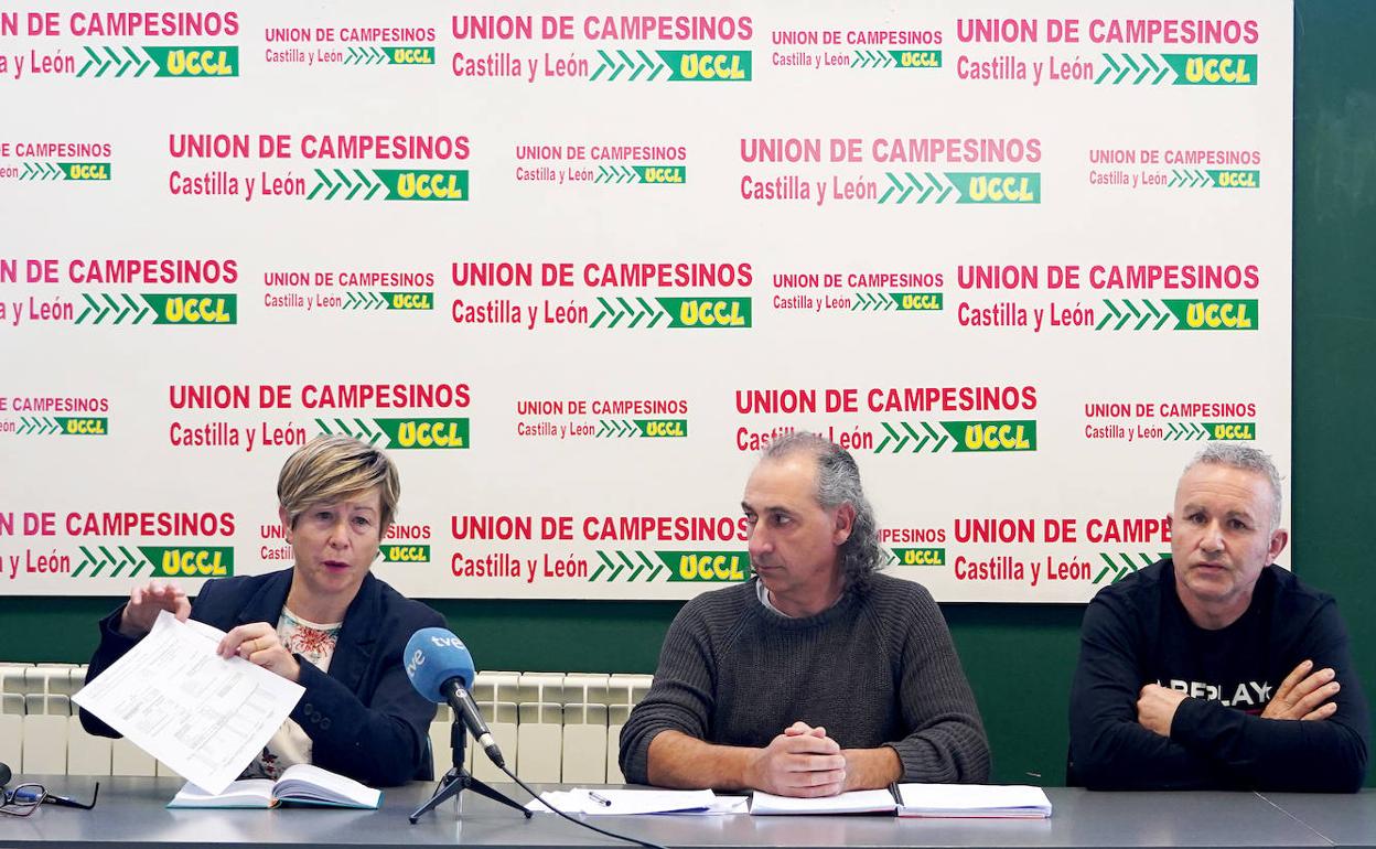 Dori Martín, Jesús Manuel González y José Antonio Martínez, en rueda de prensa. 