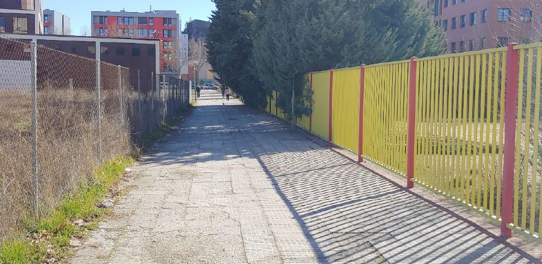 Las ramas invaden zonas de paso de peatones.