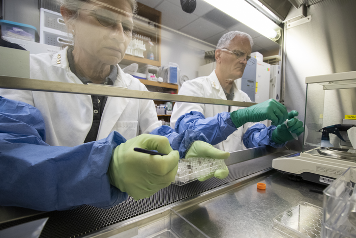 Imagen principal - Arriba: Anna-Lisa Paul, a la izquierda, y Rob Ferl, trabajando con suelos lunares en su laboratorio. Abajo-izquierda: Anna-Lisa Paul intenta humedecer los suelos lunares con una pipeta. Abajo derecha: Imagen de la Arabidopsis thaliana, la flor cultivada en el suelo lunar.