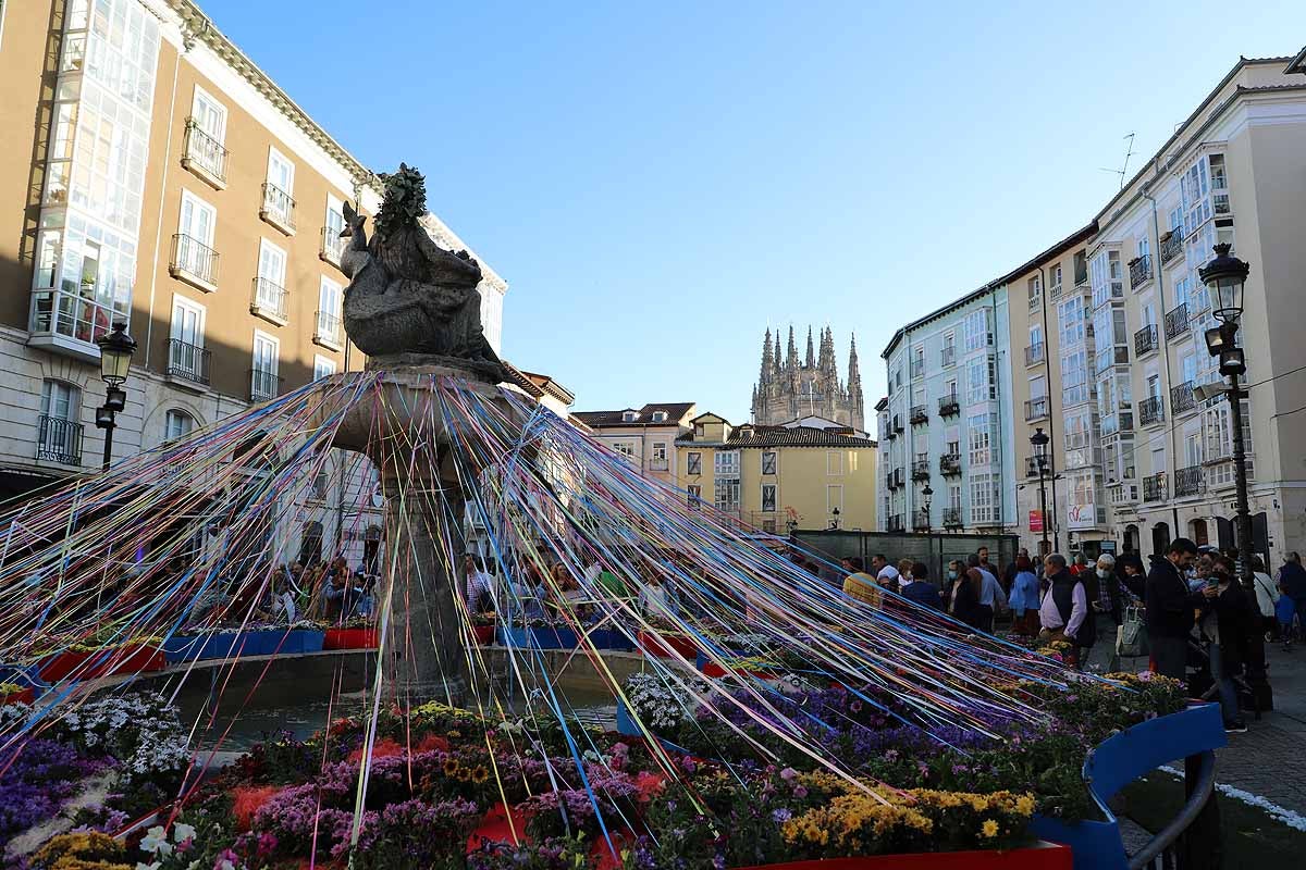 Fotos: La primavera invade Burgos con el regreso de la Fiesta de las Flores