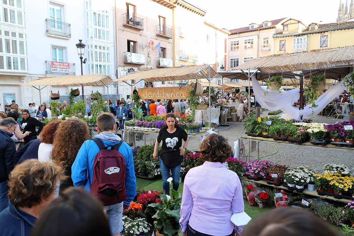 Fotos: La primavera invade Burgos con el regreso de la Fiesta de las Flores