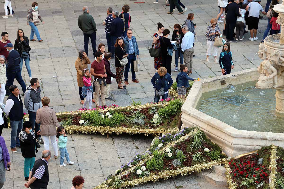 Fotos: La primavera invade Burgos con el regreso de la Fiesta de las Flores