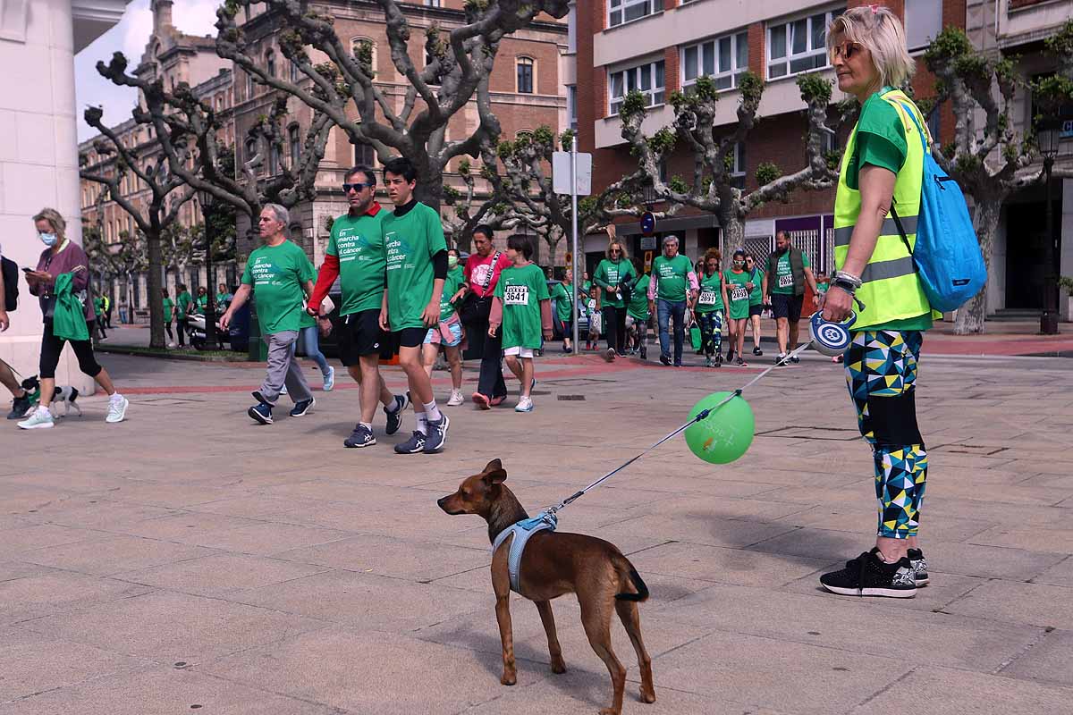 Fotos: Burgos responde con un apoyo absoluto el regreso de la Marcha contra el cáncer