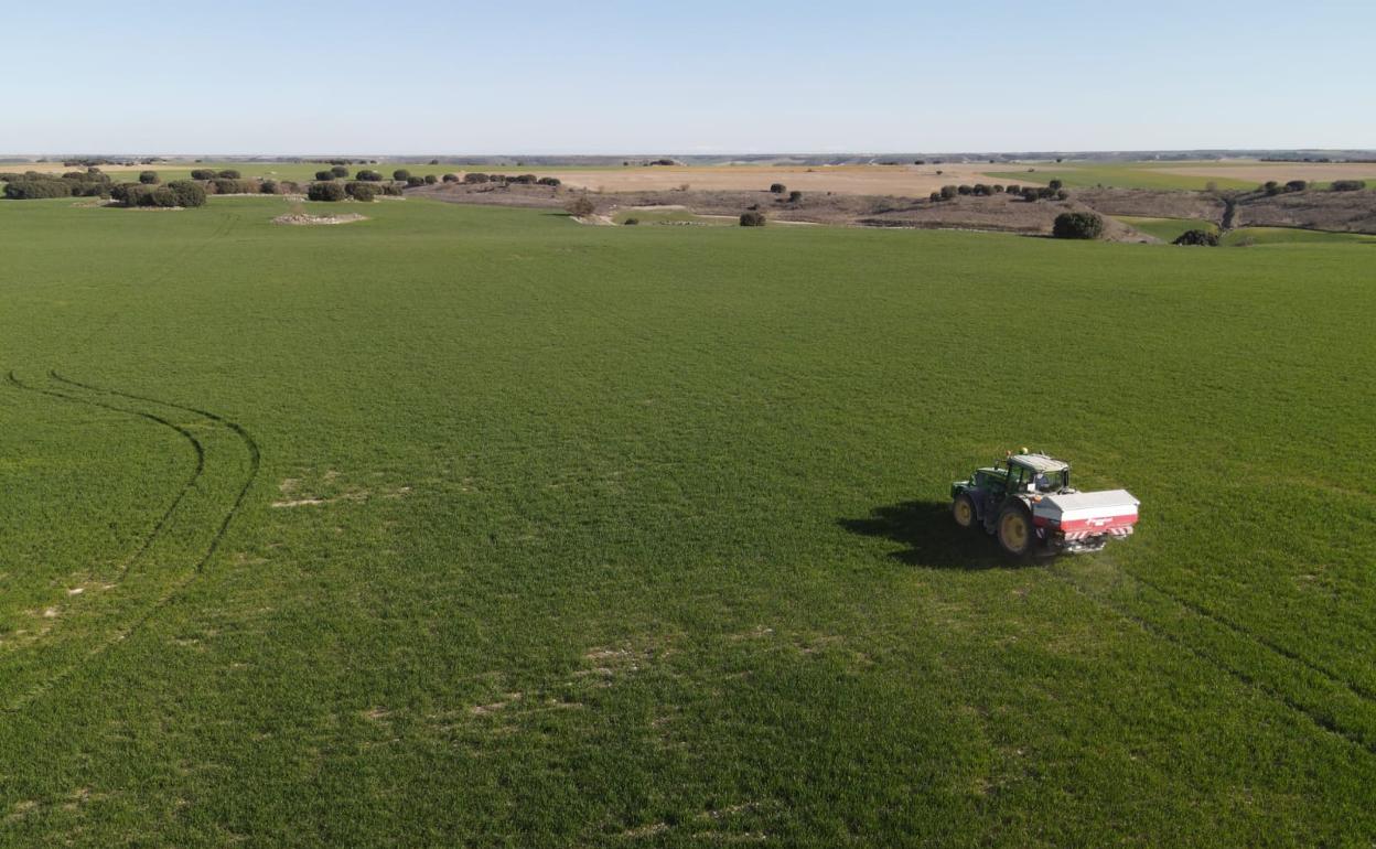 Un agricultor, en plena faena en su explotación agraria. 