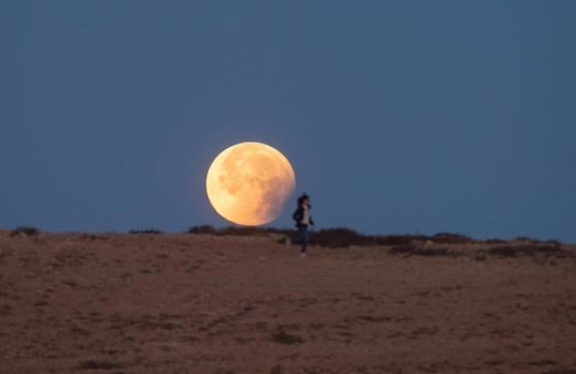 Fuerteventura (España)