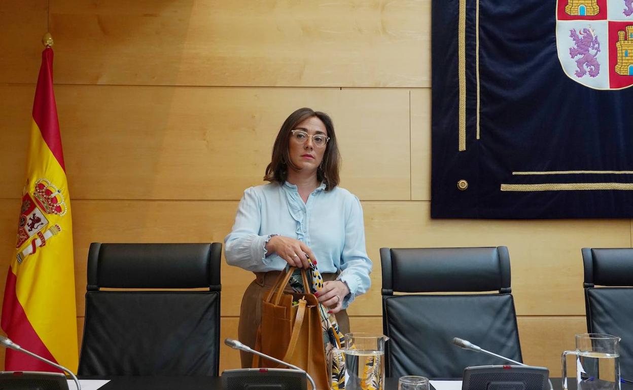 La consejera de Movilidad y Transformación Digital, María González Corral, expuso en las Cortes las actuaciones previstas en su departamento en la presente legislatura