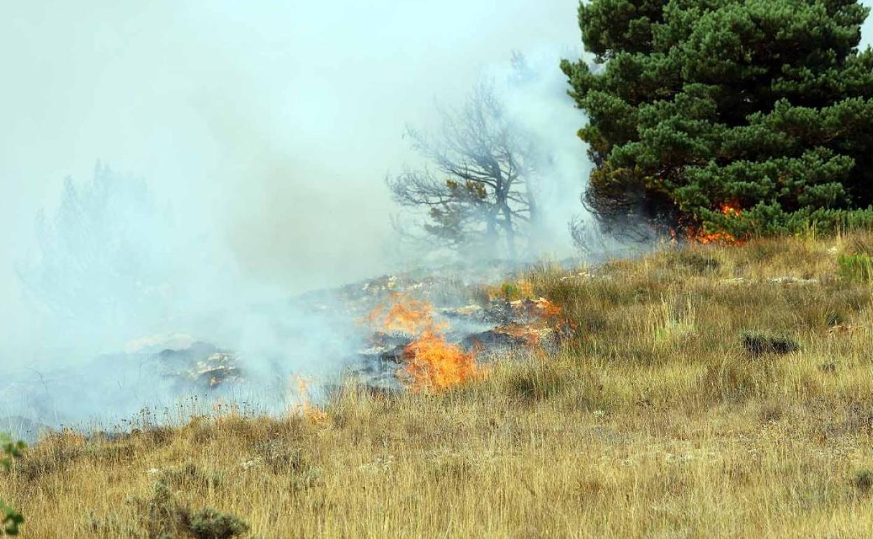 Junio suele ser un mes tranquilo en cuanto a incendios forestales.