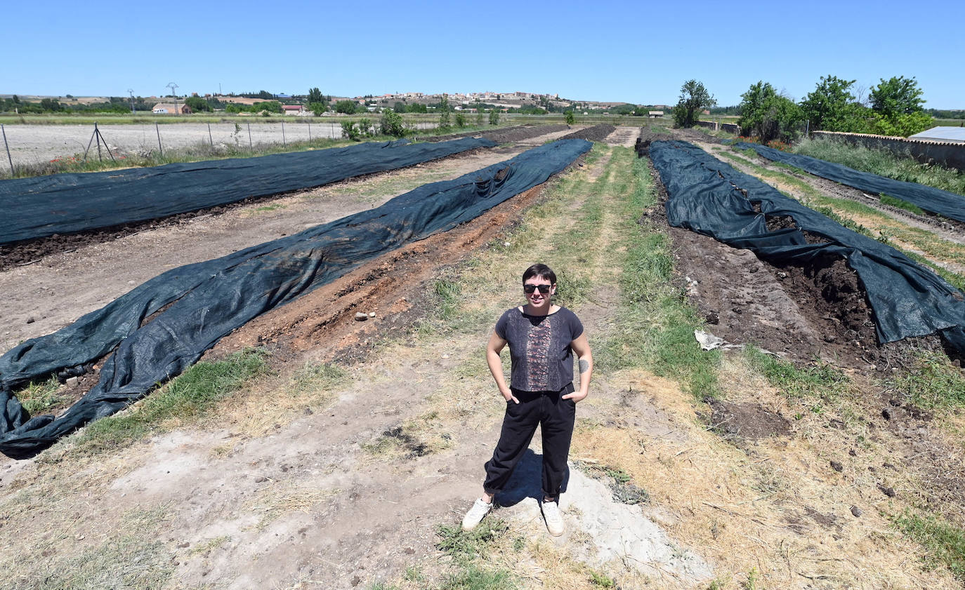 Fotos: Vermiduero, empresa burgalesa dedicada a realizar humus de lombriz