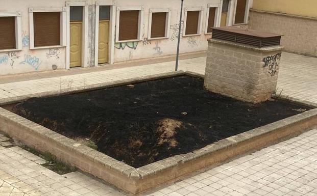 Jardinera quemada este domingo en la calle Vela Zanetti en Aranda de Duero.