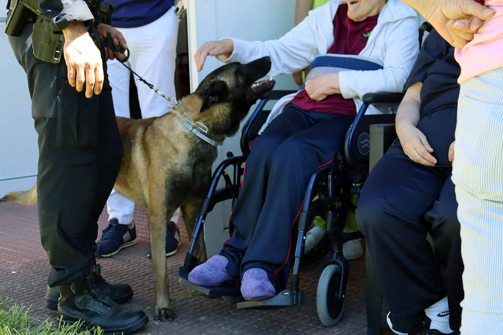 La unidad canina visitó la Residencia Asisitida de Personas Mayores de Fuentes Blancas.