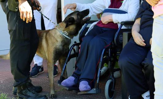 Una mujer acaricia a uno de los agentes caninos.