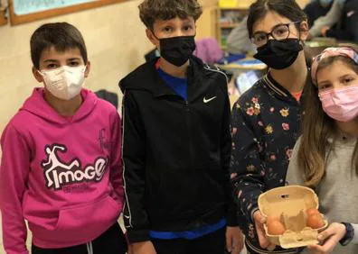 Imagen secundaria 1 - Alumnos de 6º de primaria de Maristas cuidan de su propia mascota como ejercicio de responsabilidad