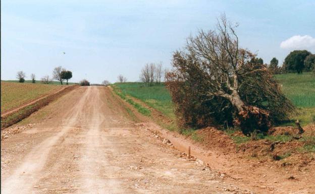 Agricultura destina 3,98 millones para obras en la concentración parcelaria de Torresandino 