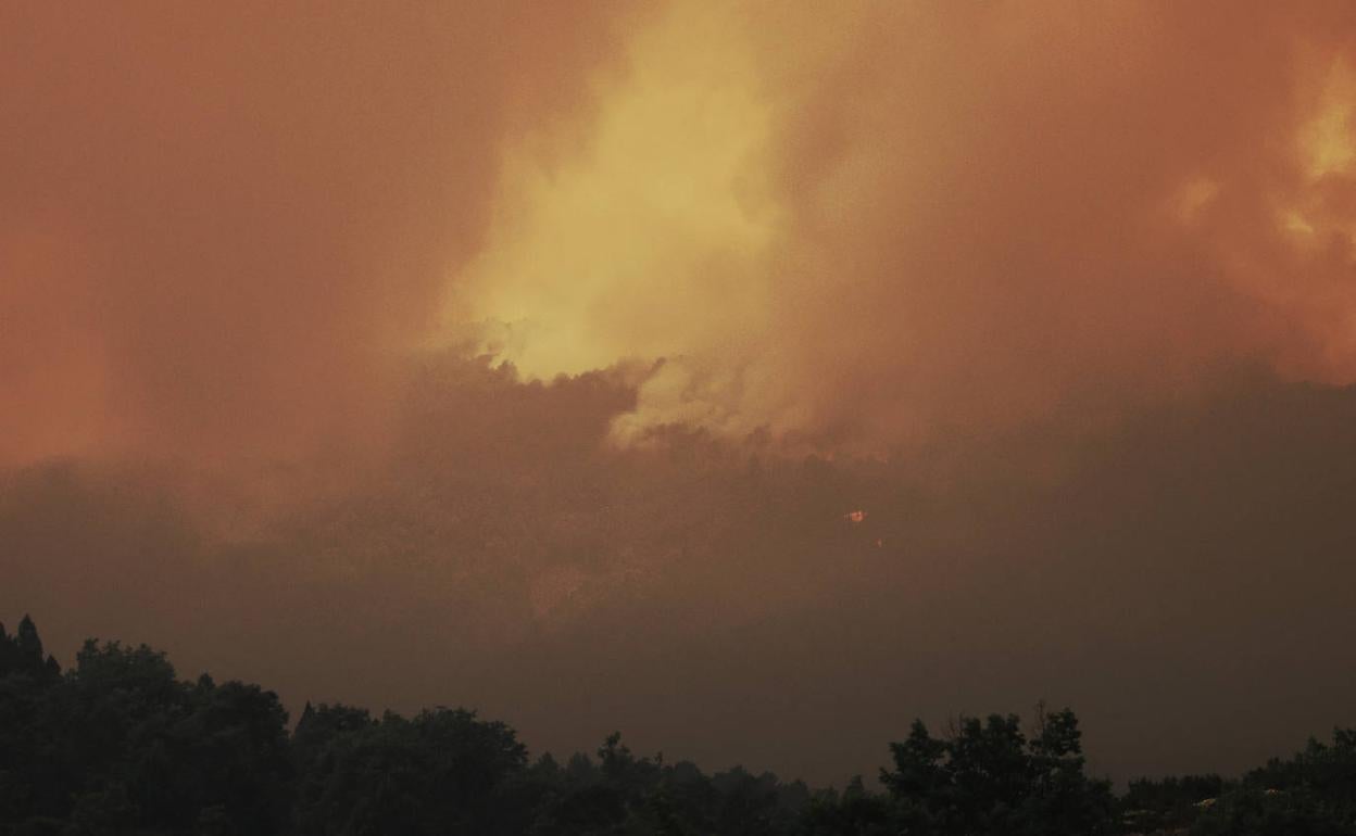 Incendio en la Sierra de la Culebra, Zamora. 