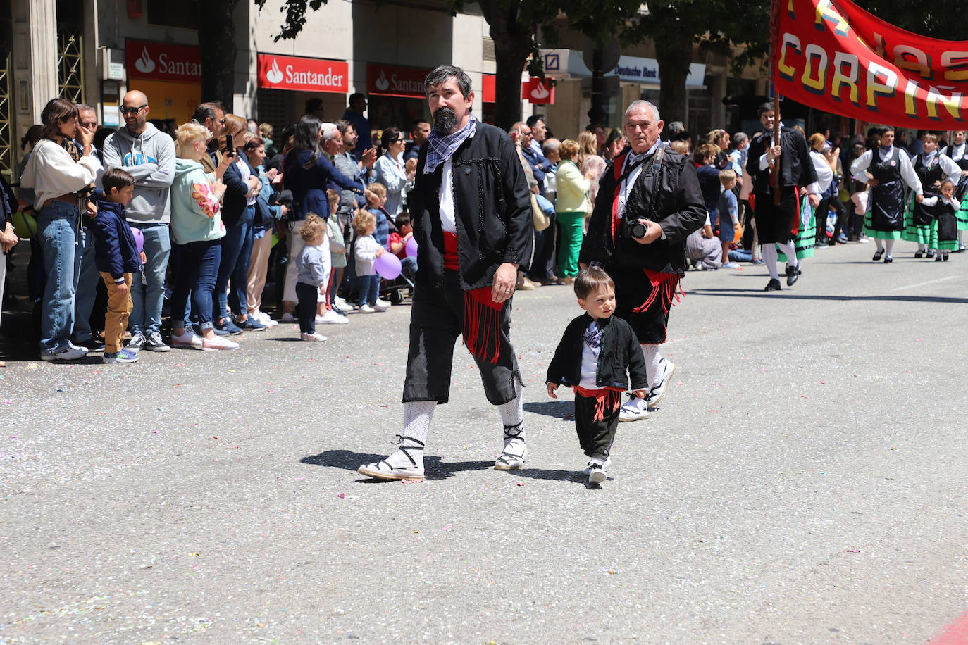 Las peñas desfilan por las calles de Burgos a ritmo de charanga, a golpe de pañuelo y escoltando a las carrozas para celebrar los Sampedros