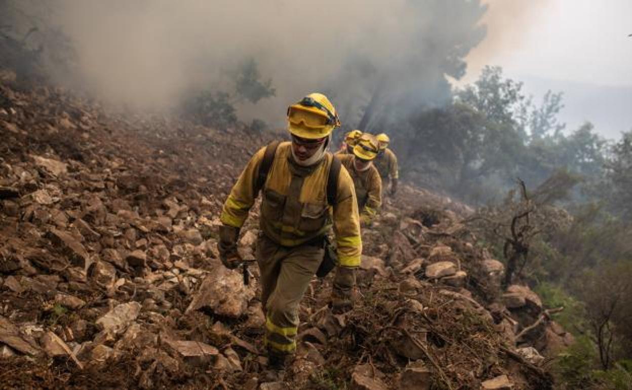 El incendio de la Sierra de La Culebra es el mayor desastre medioambiental de la historia de Castilla y León. 