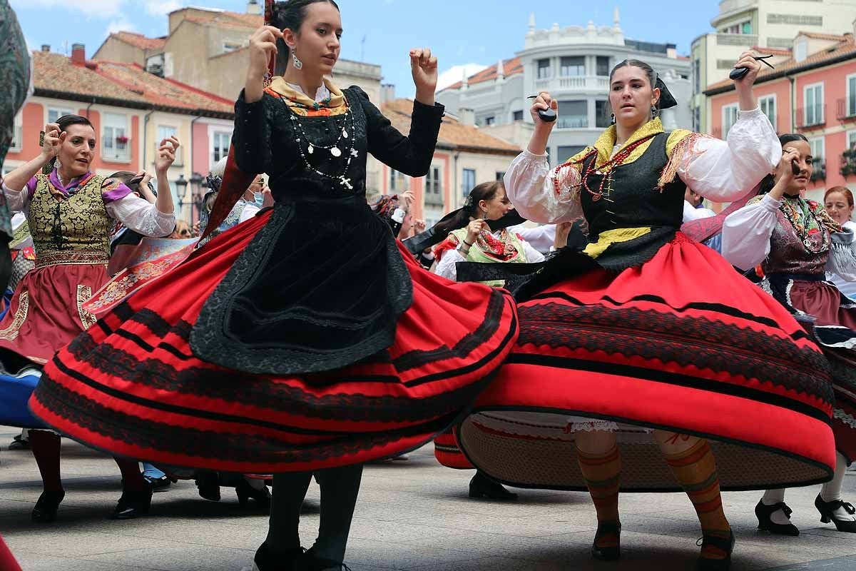 Fotos: Burgos homenajea a la jota