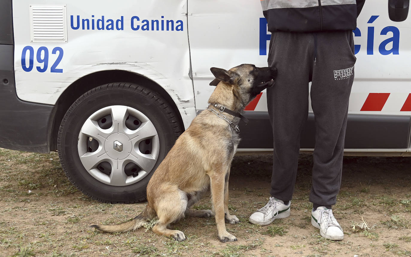 Fotos: La Unidad Canina de Burgos, un modelo de referencia policial