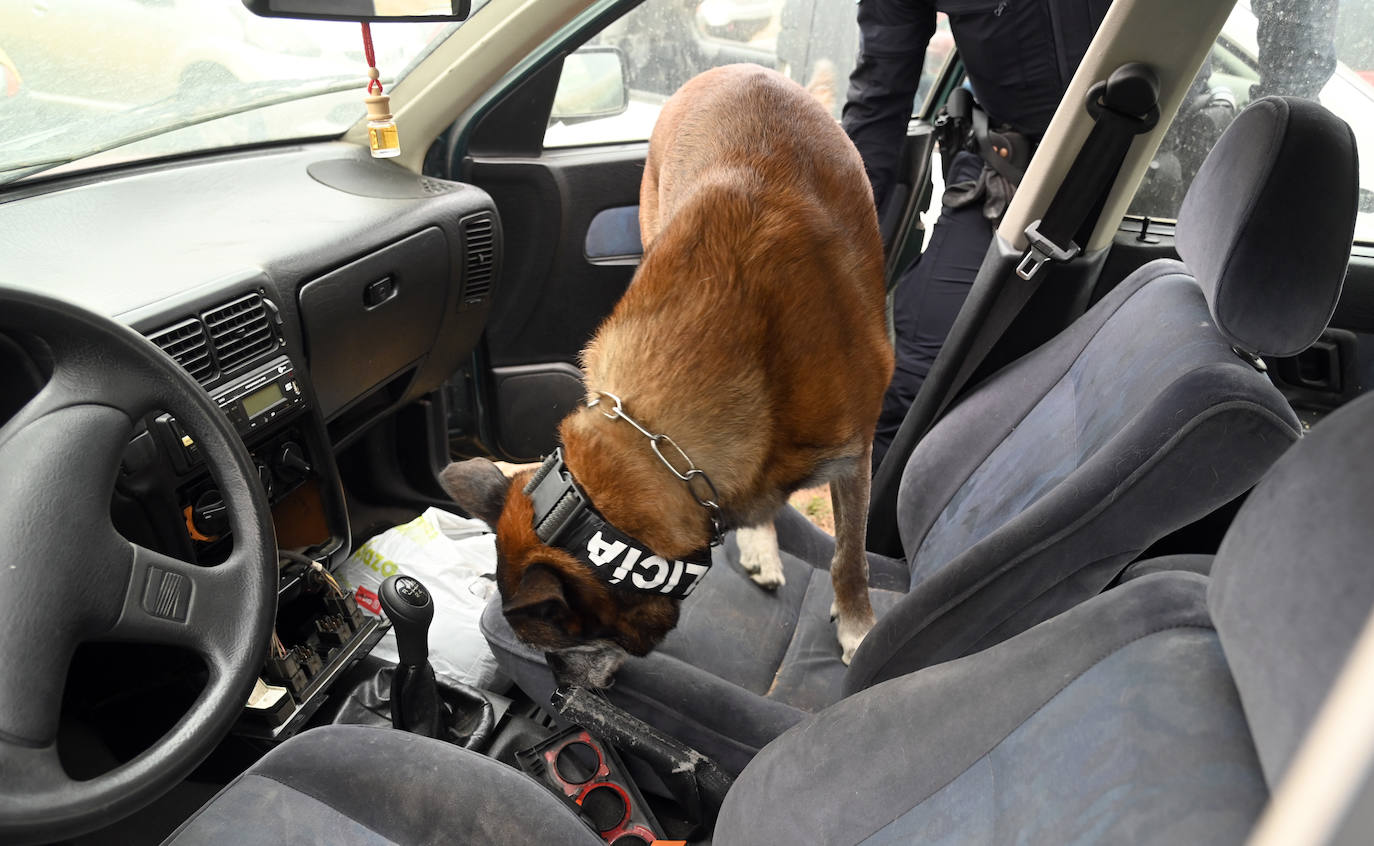 Fotos: La Unidad Canina de Burgos, un modelo de referencia policial