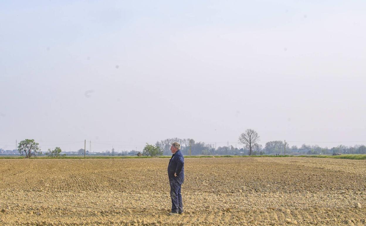 Un granjero contempla su campo, completamente seco, cerca de Milán, donde se han cerrado las fuentes decorativas debido a la peor sequía en 70 años que azota Italia desde hace semanas