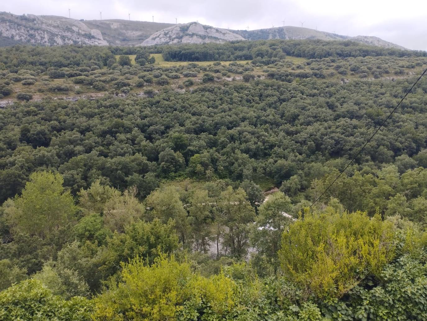 Fotos: El jardín más famoso de Las Merindades