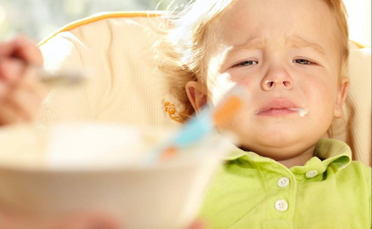 Insulina y leptina, el tira y afloja de lo que comemos