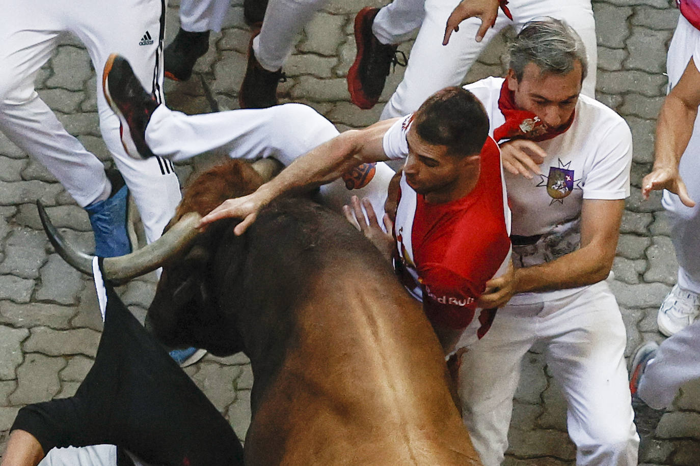 Un toro de la ganadería gaditana de Cebada Gago coge a un mozo a su llegada al callejón.