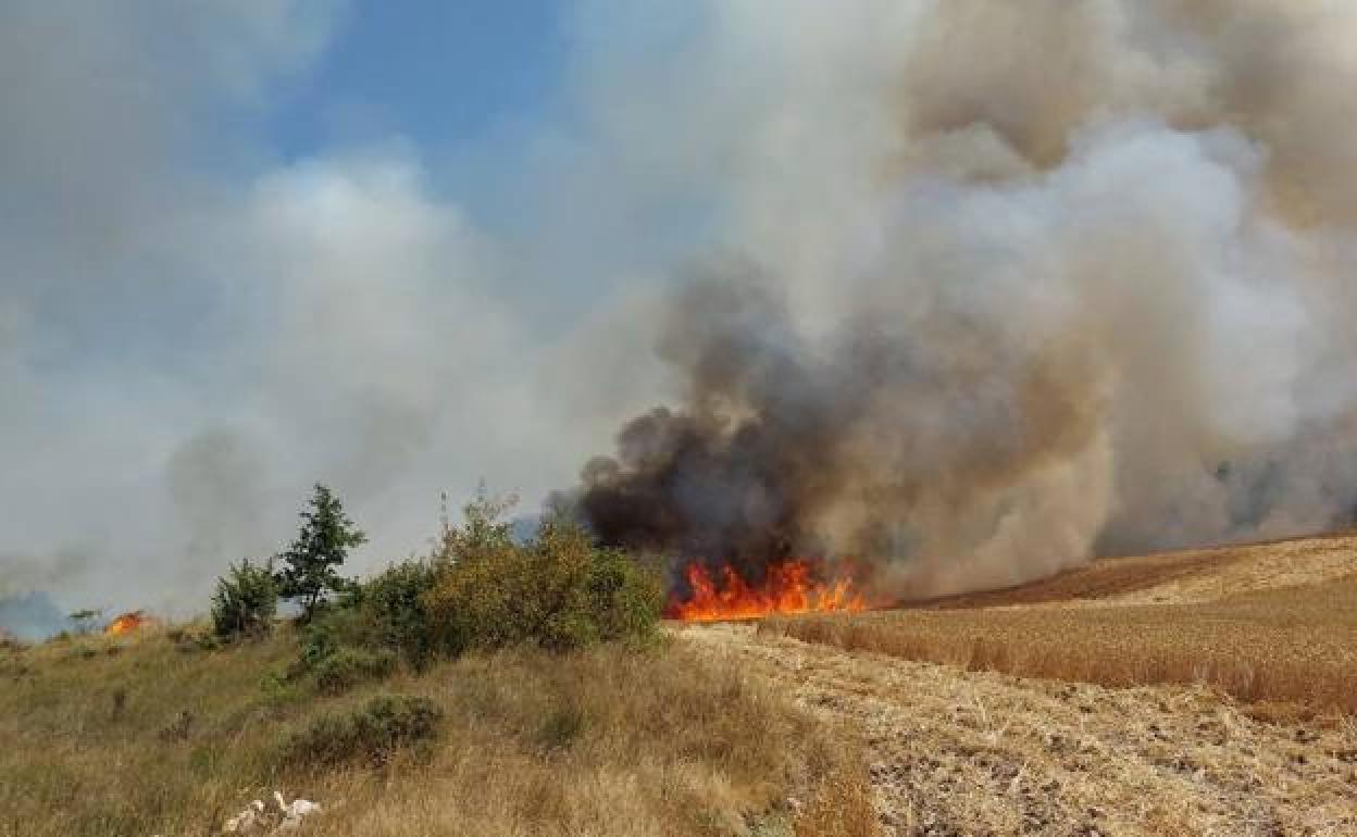 Incendio en el campo de Albaina. /