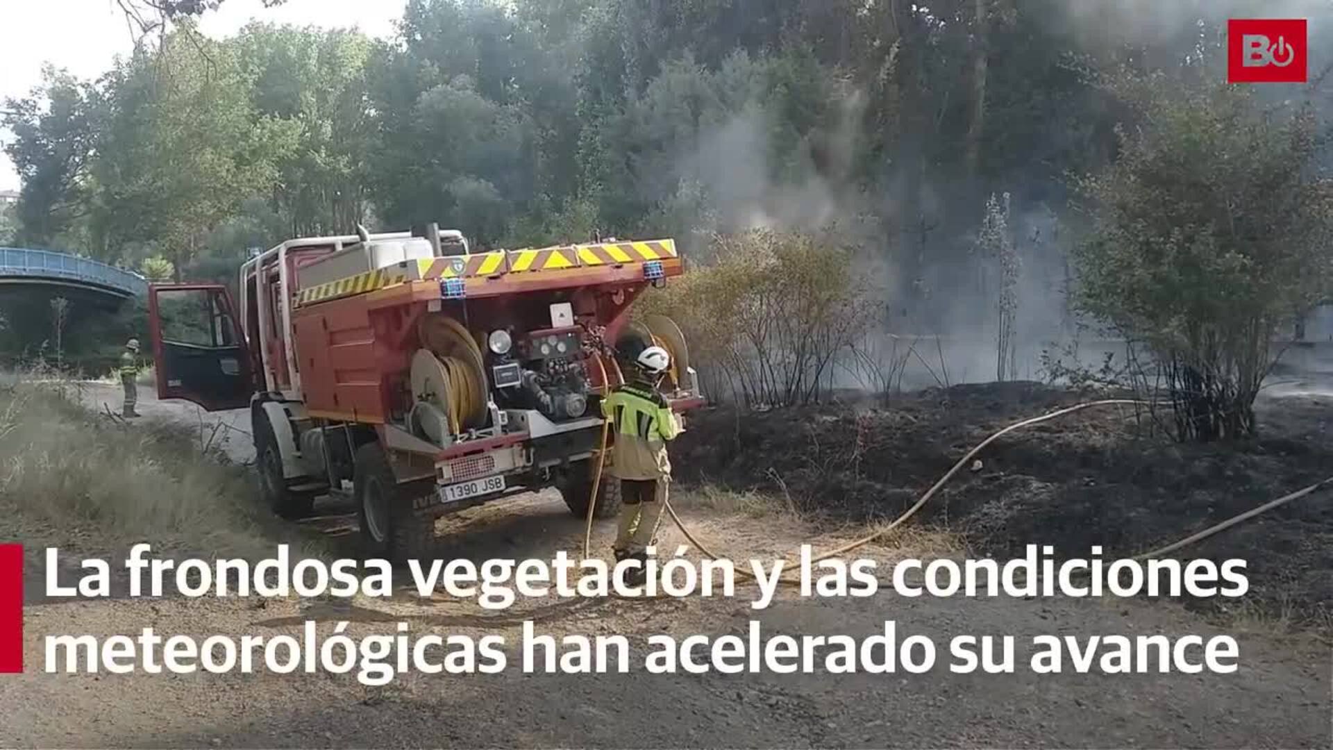Un incendio activa todas las alarmas en Castañares