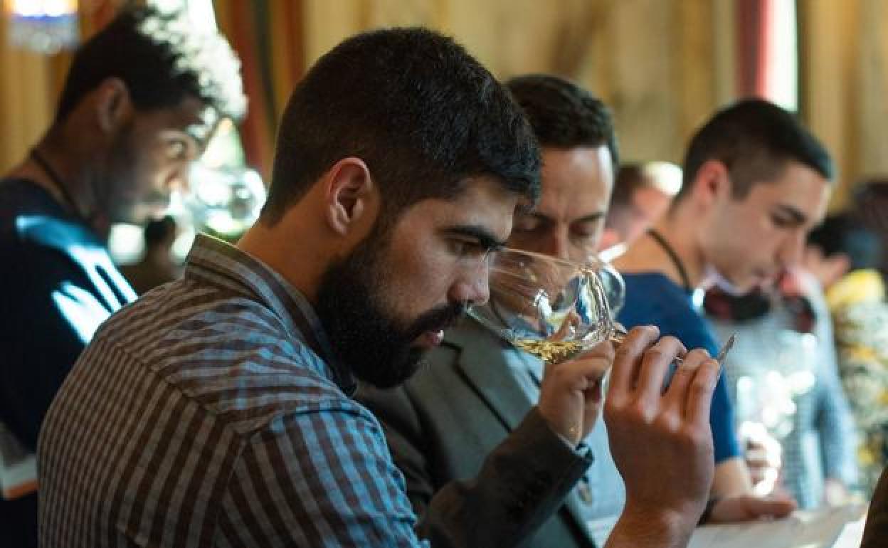 Burgos se prepara para acoger la semana que viene la primera bienal dedicada al vino