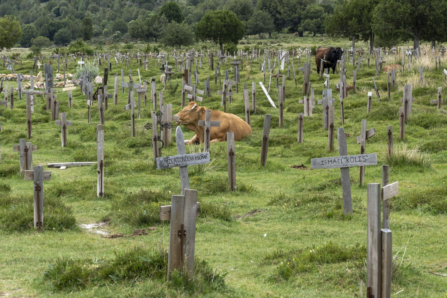 Fotos: Sad Hill, escenario de cine y literatura