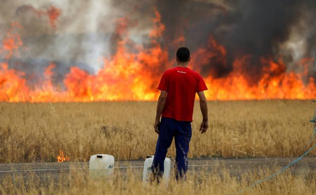 Catorce personas atendidas por los incendios de Zamora y León