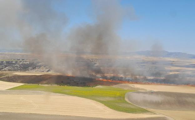 La provincia de Burgos registra cuatro incendios este sábado