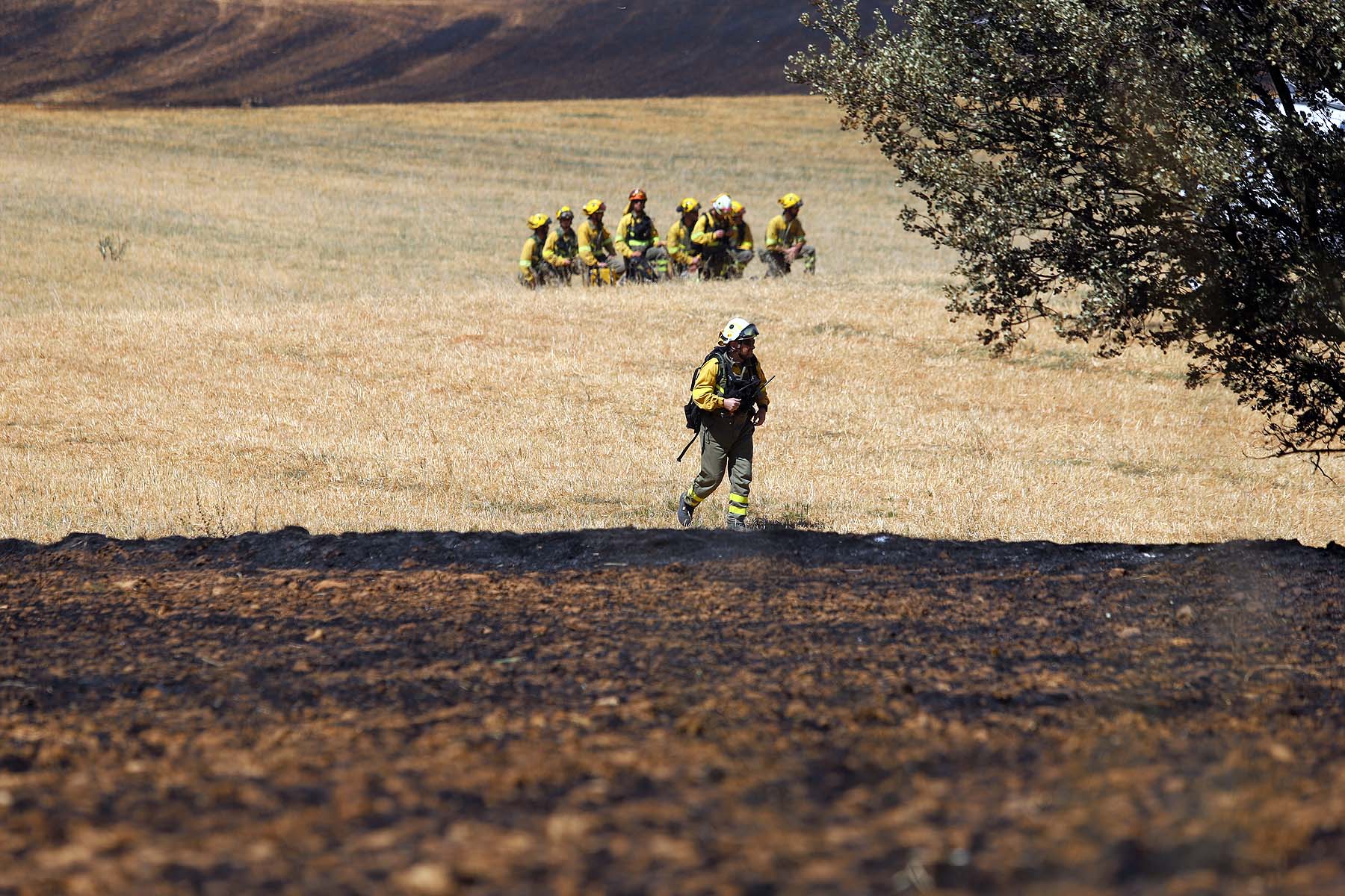 Fotos: El fuego arrasa la comarca del Arlanza