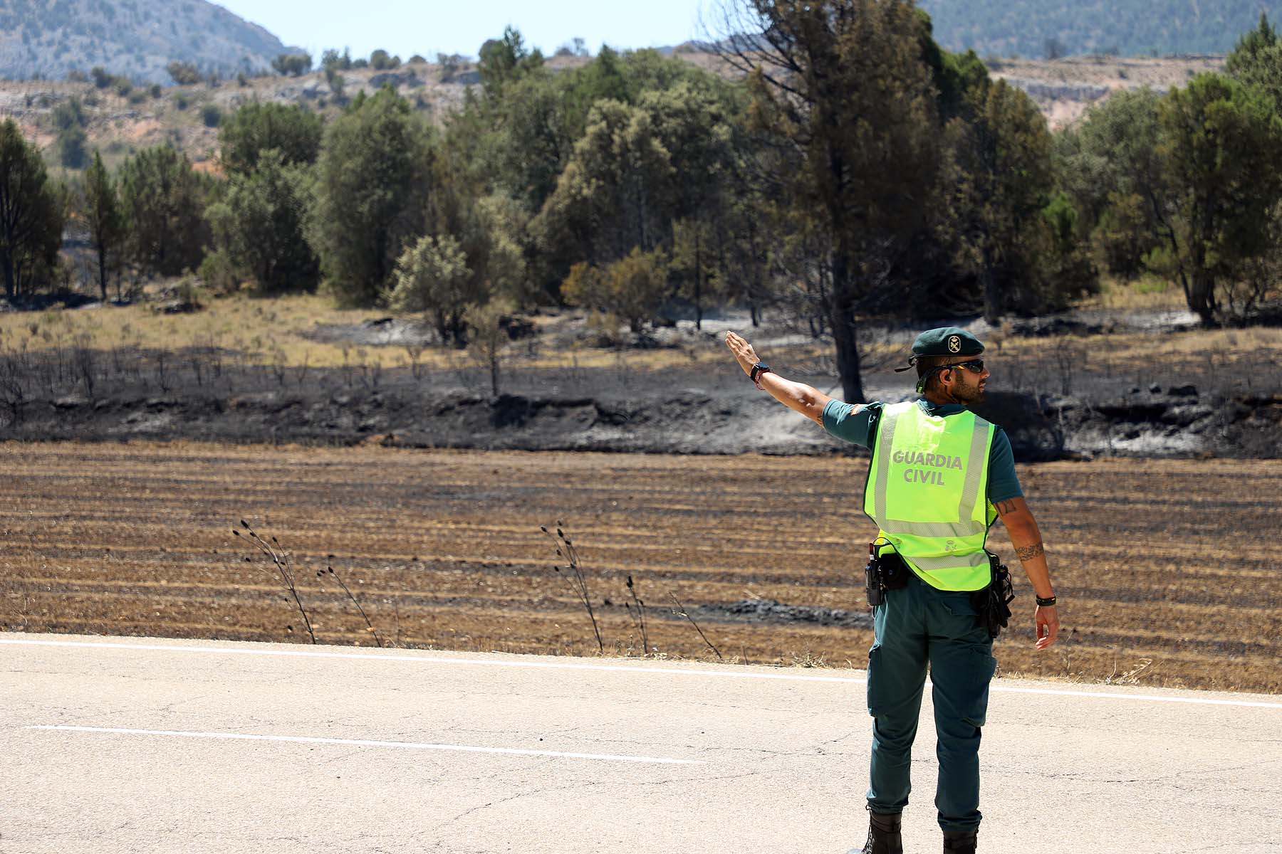 Fotos: El fuego arrasa la comarca del Arlanza